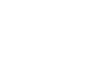 cropped-Isotipo-1.png